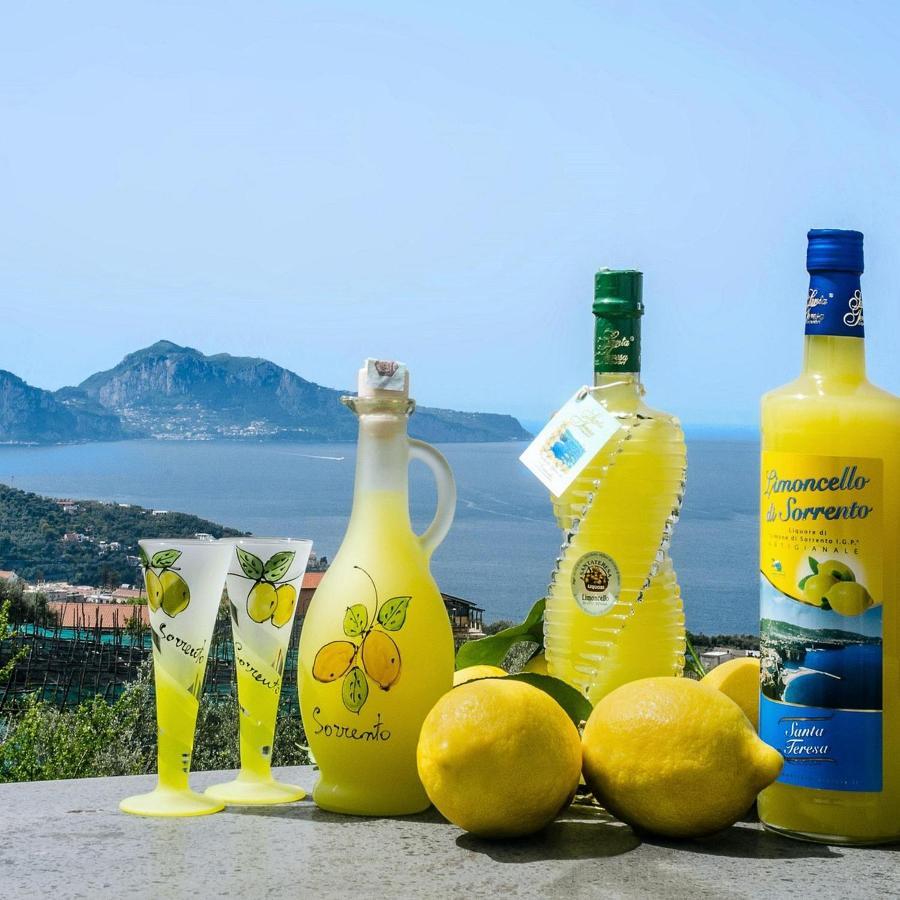 B&B Mamma Sorrento Holidays Eksteriør bilde
